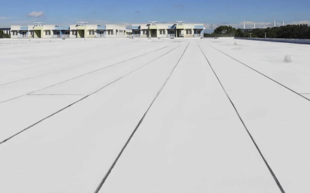 Common Causes of Commercial Roofing Problems in Tampa