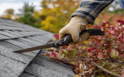 Roofing Maintenance Tips for All Seasons in Tampa, FL