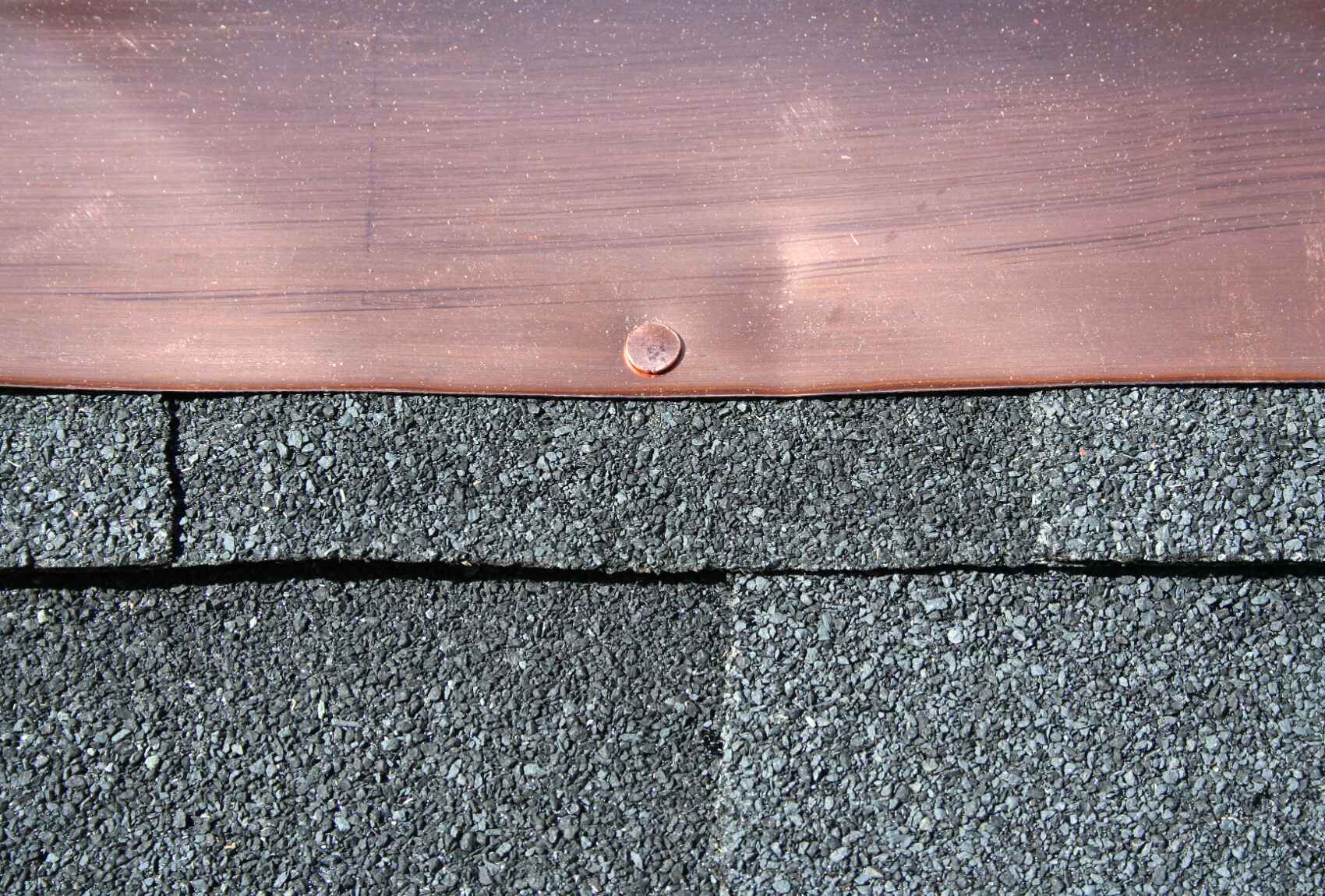 roof specialists Pinellas
